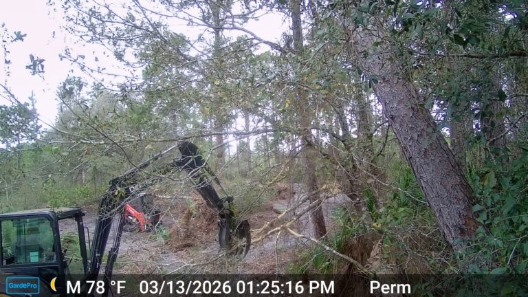 Land Clearing Commenced